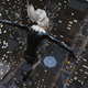 Image for article titled Pretty Lady To Voice Black Cat In Spider-Man: Web of Shadows